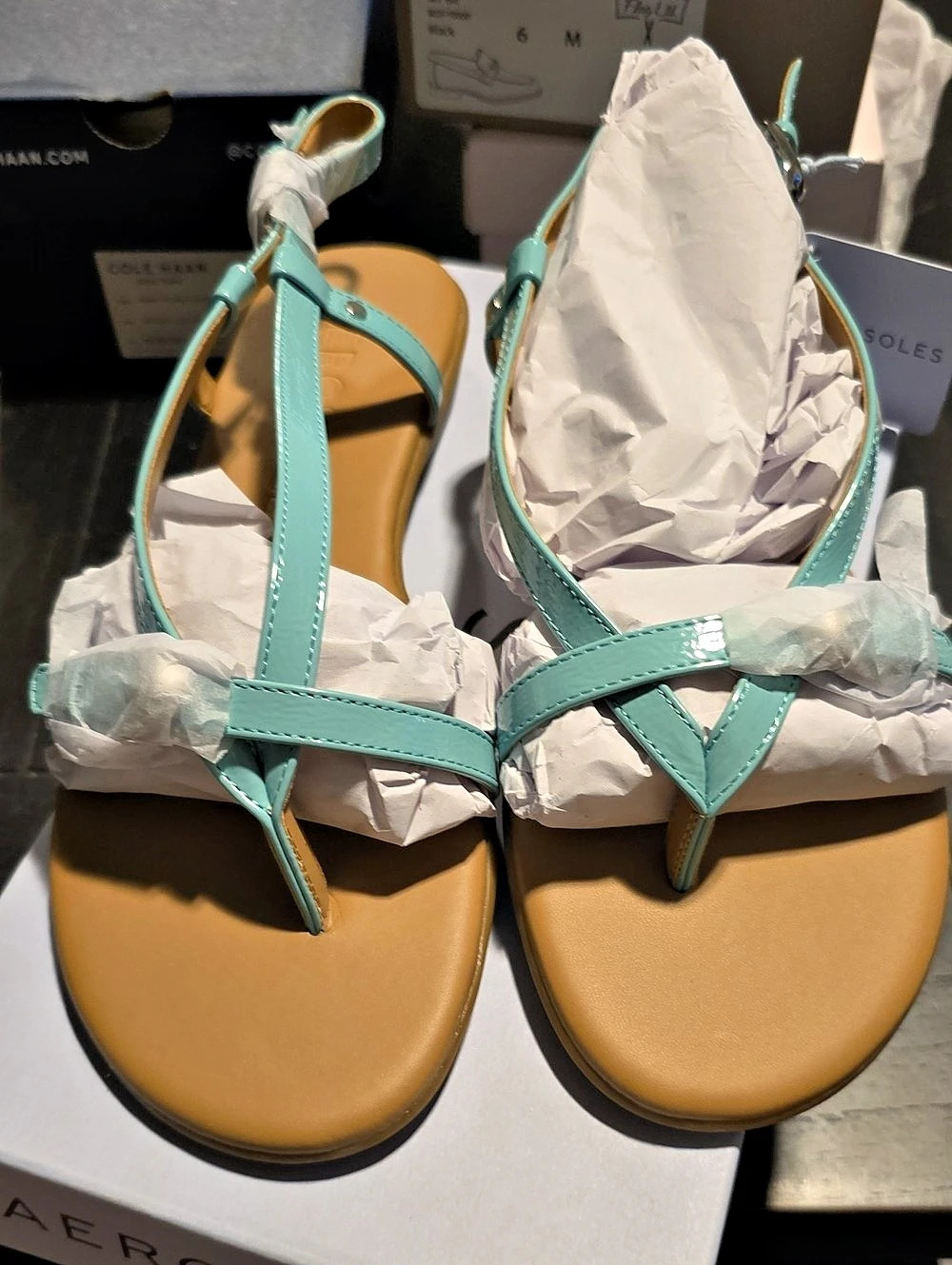 Aerosoles Iride Buckle Flat Sandals In Ice Green NIB